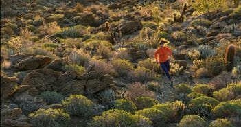 Uphill Athlete Training Zones Heart Rate Calculator Heart rate calculator