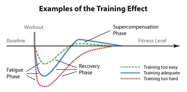 training effect