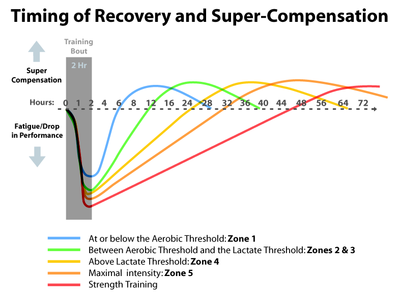timing of recovery