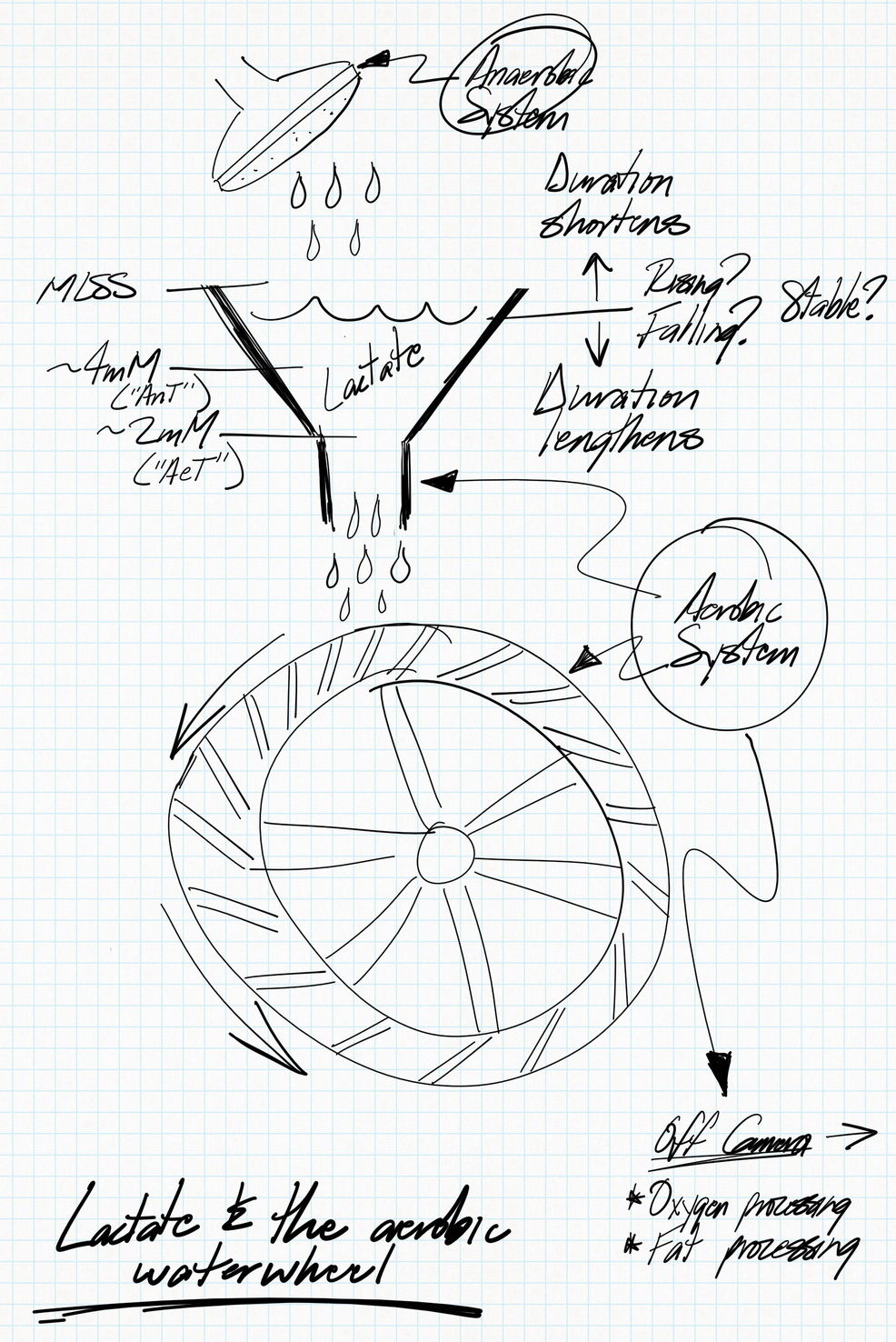 The aerobic waterwheel