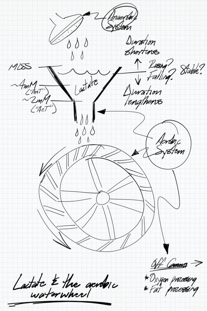 The Aerobic Waterwheel diagram