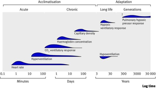 How Does Altitude Affect Your Body? A Guide to Acclimatization for ...