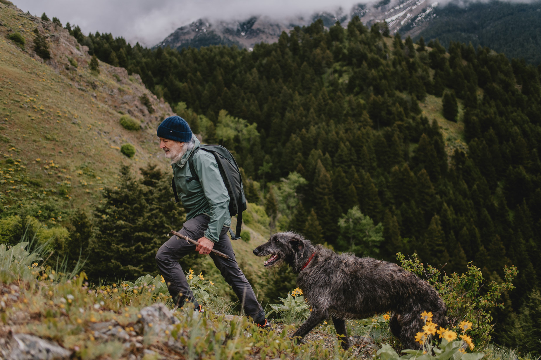 SpeedCreative-Beringia-2182-Edit_1850