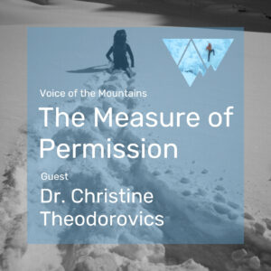The Measure Of Permission Cover